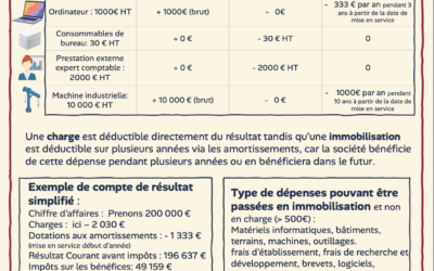 Faut-il passer certaines dépenses en charges… ou en immobilisations ? [Infographie]