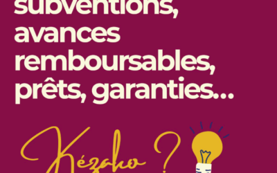 Pour votre entreprise : aides publiques, subventions, avances remboursables, prêts, garanties… kézako ? 👇