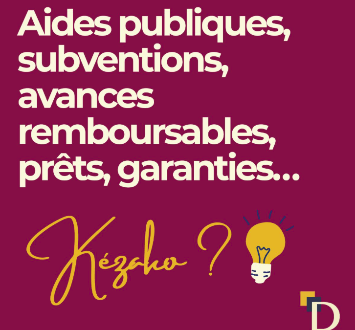 Pour votre entreprise : aides publiques, subventions, avances remboursables, prêts, garanties… kézako ? 👇
