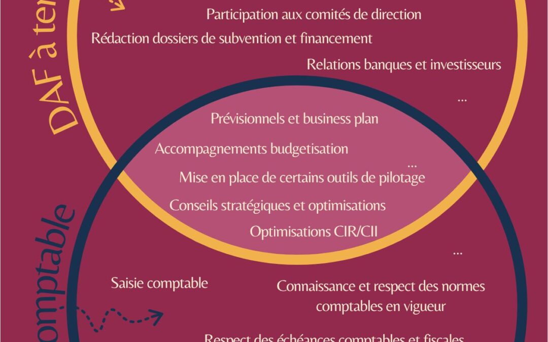 La différence entre Directeur financier à temps partagé et Expert-comptable