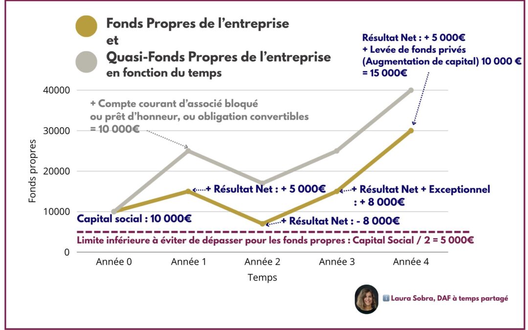 Les Quasi Fonds Propres